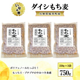 【ふるさと納税】もち麦 いなみ野 ダイシもち麦 750g (250g×3袋) セット ダイシモチ 雑穀 雑穀米 もち麦ごはん 米 お米 ブレンド米 混ぜるだけ 雑穀ごはん 健康 兵庫県産 兵庫 兵庫県 稲美町