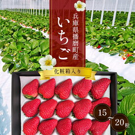 【ふるさと納税】兵庫県播磨町産いちご（化粧箱入）（15～20粒）　お届け：2026年3月上旬～5月中旬