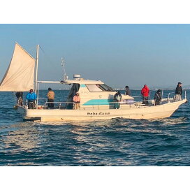 楽天市場】【ふるさと納税】タイラバ・タコ釣り遊漁船 『デカガメ 