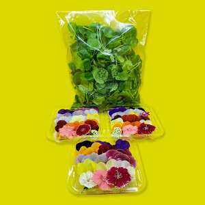 【ふるさと納税】【Bセット】エディブルフラワー(生花20輪)3パック サラダクレソン(80g) 食用花 食べられる花 生け花 誕生日 プレゼント 飾り付け 食用 お菓子【配達不可:離島】