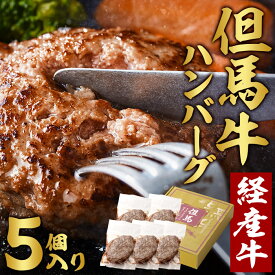 楽天市場 味の素 冷凍ハンバーグの通販