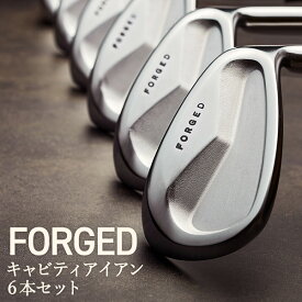 【ふるさと納税】CK-H（＃5-PW）キャビティ アイアン セット （6本セット）NSPRO 950GH（S）/ 国産 軟鉄鍛造 フォージド ゴルフクラブ ゴルフ用品 メンズ 250BD01.