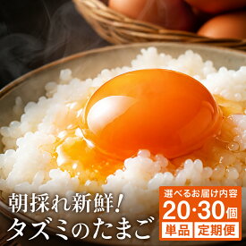 【ふるさと納税】【累計600万個突破！】（定期便）卵かけご飯にも相性抜群！タズミの卵 Mサイズ / 20個 30個 1回 定期便 2回 3回 6回 12回 2ヶ月 3ヶ月 6ヶ月 12ヶ月 こだわり卵 市川町産 兵庫県産 たまご たまごかけご飯 玉子 生卵 鶏卵 タマゴ 卵焼き TKG 005AB02N.