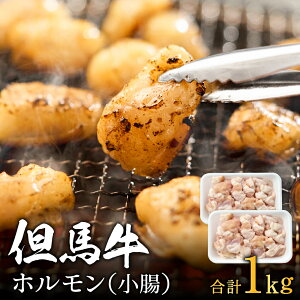 yӂ邳Ɣ[ŁzAnoYuzv500g×2 / a z ē uߕ   012AA04N.