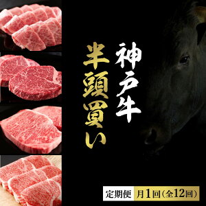 yӂ邳Ɣ[ŁzaZu̐_ˋ̃Zǔi12[iR[Xji1 Ⓚւł͂܂j/  Zu _˃r[t   Y BBQ o[xL[ ē Mtg 