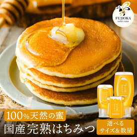 【ふるさと納税】完熟はちみつ　120g〜 （藤岡養蜂園） / 完熟 熟成 天然 ハチミツ 養蜂 蜂蜜 ミツバチ しりばり 瓶 チューブ 選べる