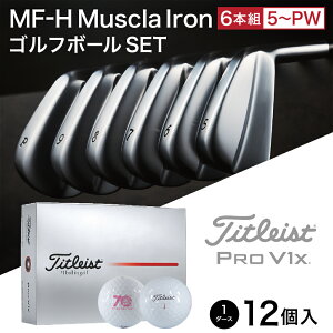 【ふるさと納税】キャビティアイアンCK-H(#5-PW)& ゴルフボールV1X (1ダース) / 軟鉄鍛造 フォージド アイアン 国産 ゴルフクラブ ゴルフテック叡智 ゴルフ用品 310BD02S.