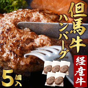 yӂ邳Ɣ[ŁzAn no[O 5lO i150g×5j  јa 100% Y oY a Ԑg t ق o[xL[ bbq Lv AEghA ē  ȒP Zbg l