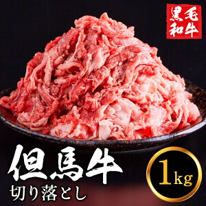 yӂ邳Ɣ[ŁzAn  ؂藎Ƃ 1kg e 5~7lO / јa 퐸X Ԑg wV[ oY  Y bbq J[  o[xL[ ē Ă AEghA Lv 