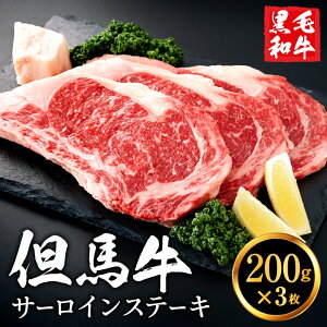 yӂ邳Ɣ[ŁzAn T[CXe[LZbg 600g i200g×3j3lO јa Xe[L 퐸X oY  Y bbq o[xL[ ē Xe[L T[C Ԑg  Ⓚ 