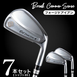 yӂ邳Ɣ[ŁzBREAK COMMON SENSEiuCNRZXj Fujimoto_BCS iron(7set) 85 ACA 7{Zbg / {ZH Sb ACA Y StNu Stpi 1300BE01N.