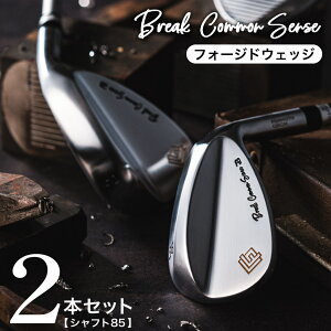 yӂ邳Ɣ[ŁzBREAK COMMON SENSEiuCNRZXj Fujimoto_BCS Wedge(2set)85 EFbW 2{Zbg / {ZH Sb EFbW Y StNu Stpi 370BE01N.