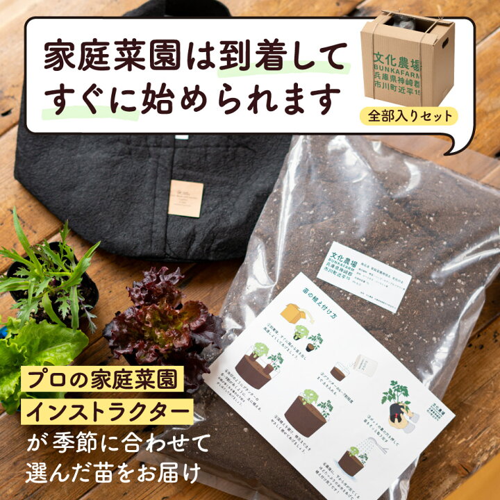 楽天市場】【ふるさと納税】はじめての家庭菜園キット「サラダガーデン 