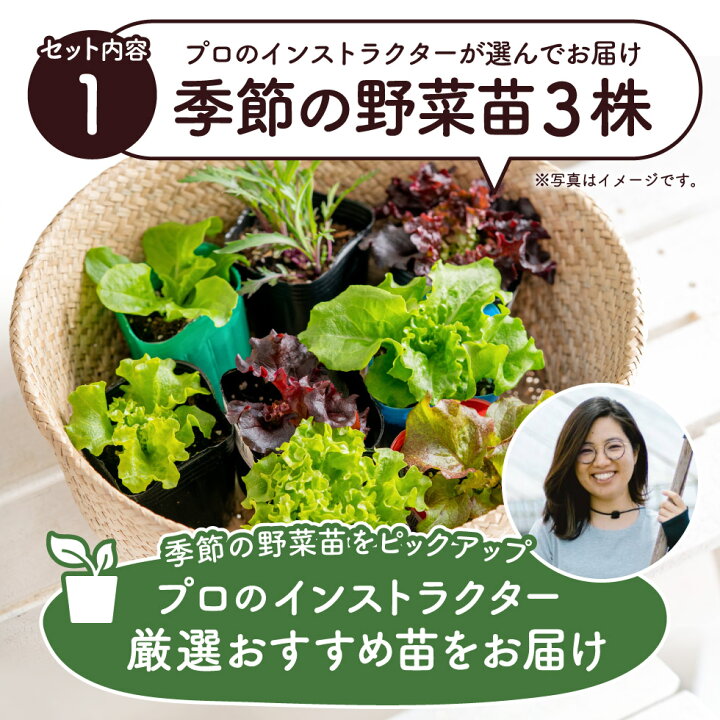 楽天市場】【ふるさと納税】はじめての家庭菜園キット「サラダガーデン 
