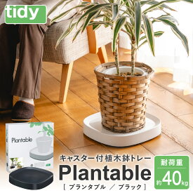【ふるさと納税】tidy ティディ Plantable（キャスター付植木鉢トレイ） / 台 観葉植物 トレイ プランター 受け皿 受皿 鉢皿 らくらく移動 可動式 軽量 ガーデニング リビング オフィス 玄関 掃除用品 掃除 お掃除 日用品 インテリア 雑貨 おしゃれ 012EB04N.