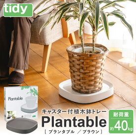 【ふるさと納税】tidy ティディ Plantable（キャスター付植木鉢トレイ） / 台 観葉植物 トレイ プランター 受け皿 受皿 鉢皿 らくらく移動 可動式 軽量 ガーデニング リビング オフィス 玄関 掃除用品 掃除 お掃除 日用品 インテリア 雑貨 おしゃれ 012EB04N.