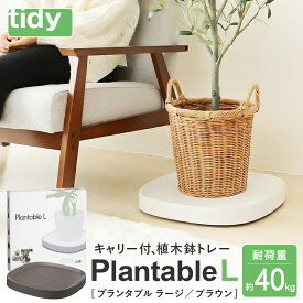 【ふるさと納税】tidy ティディ Plantable L（キャスター付植木鉢トレイ） / Lサイズ 台 観葉植物 トレイ プランター 受け皿 受皿 鉢皿 らくらく移動 可動式 軽量 ガーデニング リビング オフィス 玄関 掃除用品 掃除 お掃除 日用品 インテリア 雑貨 おしゃれ 015EB11N.