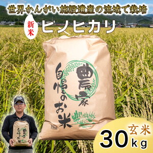 y  V Iׂeʁzߘa7NxY@qmqJ@ā@ā@͂@ɌY@E񂪂{݈Yo^w`Hx