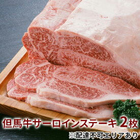 【ふるさと納税】 但馬牛 サーロイン ステーキ 200g×2枚 計400g[ 牛肉 お肉 ブランド牛 キャンプ BBQ アウトドア バーベキュー ギフト ]　【牛肉・サーロイン・但馬牛サーロインステーキ・但馬牛・ステーキ】