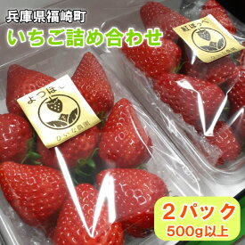 【ふるさと納税】いちご詰め合わせ（2パック計500g以上）贈答用 化粧箱入り　 果物類 いちご フルーツ 果物 詰め合わせ 　お届け：2025年1月中旬～3月下旬