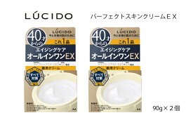 【ふるさと納税】マンダム ルシード パーフェクトスキンクリームEX 90g×2個セット MA-81 LUCIDO 男性化粧品