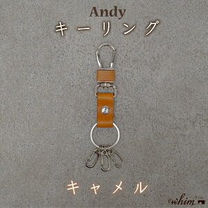 yӂ邳Ɣ[ŁzL[O Andy { vi {v U[  IׂJ[