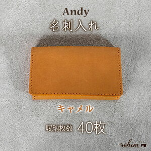 yӂ邳Ɣ[Łzh Andy { vi {v U[  rWlX IׂJ[