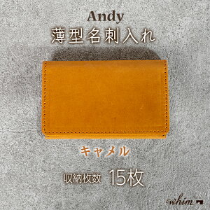 yӂ邳Ɣ[Łz^h Andy { vi {v U[  rWlX IׂJ[