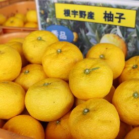 【ふるさと納税】【神河町特産】根宇野(みよの)の柚子(ゆず) 約2kg　※2025年10月末頃から順次発送【1332889】