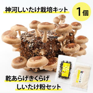 yӂ邳Ɣ[Łz_͔͂|Lbg(ۏ)1Ɗ炰炰EZbg@10`4y1355231z