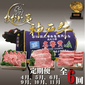 yӂ邳Ɣ[ŁzyŒցzA5  _ˋ(_˃r[t)@͑I΂ꂵ󏭂ȈꓪS6yzsnFzy4067237z