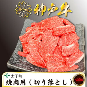 yӂ邳Ɣ[Łz󂠂_ˋ@TSY1@ēp(؂藎Ƃ)@500gyzsnFzy1509911z