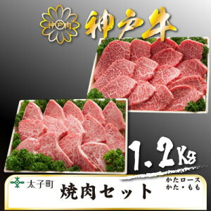 yӂ邳Ɣ[Łz_ˋ@TSYS5@ēpZbg@v@1200gyzsnFzy1509934z