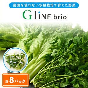 yӂ邳Ɣ[ŁzyցzG Line brio ^X8pbNZbgS6yzsnFzy4056839z