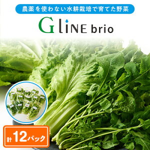 yӂ邳Ɣ[ŁzyցzG Line brio ^X12pbNZbgS3yzsnFzy4056843z