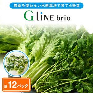 yӂ邳Ɣ[ŁzG Line brio ^X12pbNZbgyzsnFzy1121143z