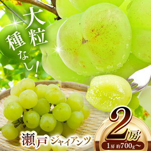 yӂ邳Ɣ[Łz ˃WCAc 2[ (1[700g`) | ʕ  t[c Ԃǂ uhE  Ɍ S