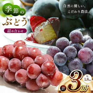 yӂ邳Ɣ[Łz G߂̂Ԃǂlߍ킹3[(1.8kg) | s\ ʕ  t[c Ԃǂ uhE  Ɍ S