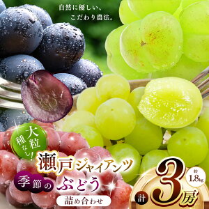 yӂ邳Ɣ[Łz ˃WCAc1[ƋG߂̂Ԃǂ2[(1.8kg) | s\ ʕ  t[c Ԃǂ uhE  Ɍ S