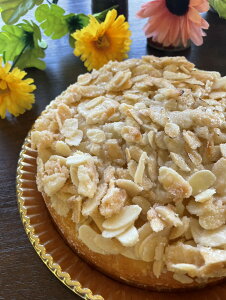 yӂ邳Ɣ[Łzub^@N[w | XC[c P[L Ăَq hCc Ɍ S