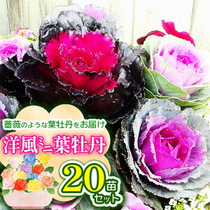 yӂ邳Ɣ[Łz m~jtOZbgtO̎YnKN̂悤ȗtO͂20c | ~jtO O   tO c K[fjO K[f Ɍ S