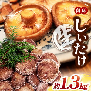 yӂ邳Ɣ[Łz ۏ 1.3kg |  VC^P ő ̂ LmR  Ɍ S