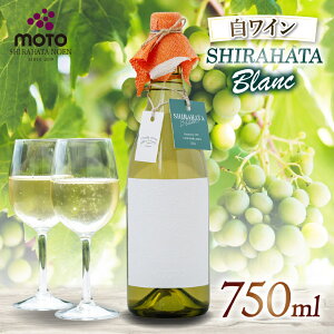 yӂ邳Ɣ[ŁzMOTO Wine Shirahata Blanc | Ɍ S Vhl t{g XeX^N C C