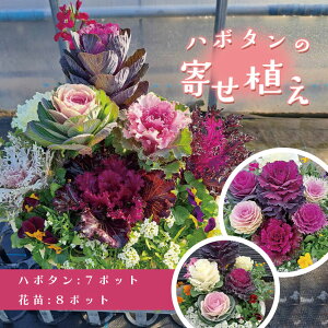 yӂ邳Ɣ[Łzn{^̊񂹐A | Ɍ S n{^ ԕc  K[fjO  tO t | 