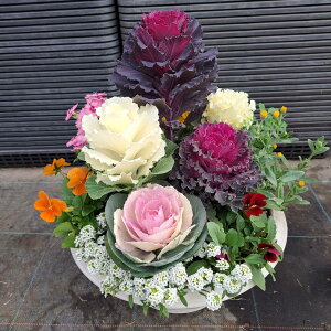 yӂ邳Ɣ[Łzn{^̊񂹐A | Ɍ S n{^ ԕc  K[fjO  tO t | K[f 