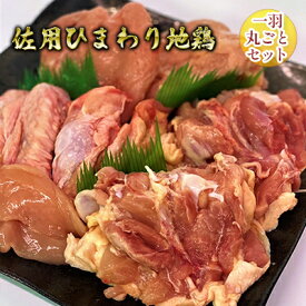 【ふるさと納税】佐用ひまわり地鶏　一羽丸ごとセット お肉 鶏肉 モモ ムネ ささみ 手羽先 手羽元