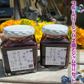 【ふるさと納税】ブルーベリージャム2個と ジャム作りセット（冷凍ブルーベリー 1kg＋グラニュー糖） フルーツ 自家製ジャムキット