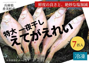 yӂ邳Ɣ[ŁzɌZY  銱 Ăꂢ 7C(900g) Ăꂢ Ăꂢ Yn Ⓚ ڈ:ߘa5N1{ȍ~ GeJC CeJC Ɍ  RA 