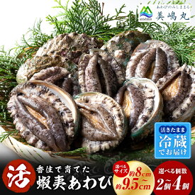【ふるさと納税】☆高評価レビュー☆ 10/15 テレビで紹介 活あわび 【選べるサイズ・個数 9.5cm ～ 8cm 2個・4個 】 冷蔵 養殖 海鮮 アワビ 鮑 国産 蝦夷アワビ エゾアワビ 蝦夷鮑 ステーキ 高級海鮮 高級食材 お刺身 お歳暮 蒸しあわび 酒蒸し バター焼き ギフト 送料無料