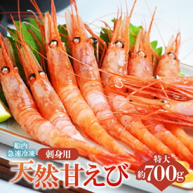 【ふるさと納税】《12/21まで年内発送》船内瞬間冷凍 鮮度抜群の大きい甘エビ 約700g (約30尾) 天然 甘えび 刺身用 送料無料 甘海老 特大 直送 瞬間冷凍 えび 海老 甘海老 刺し身 お刺身 あまえび 国産 たっぷり 刺身 丼 海鮮 魚介類 大きい 御贈答 ギフト 新鮮 冷凍 19-11